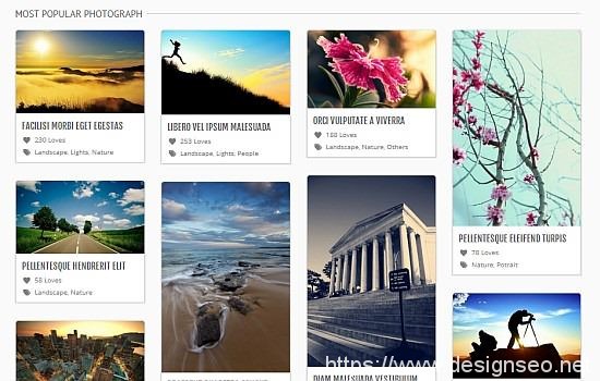 20 款WordPress Themes 3