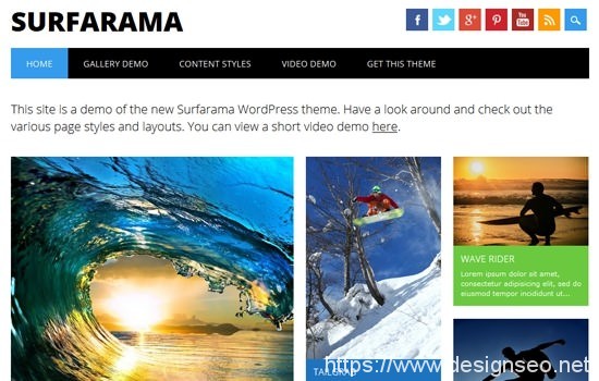 20 款WordPress Themes 7