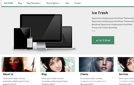 20 款WordPress Themes 10