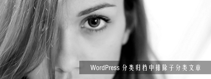 WordPress 分类归档中排除子分类文章 1