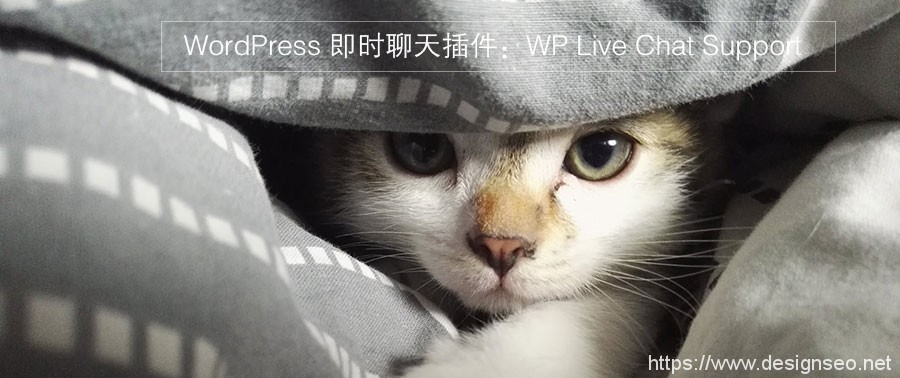 WordPress 即时聊天插件：WP Live Chat Support 1