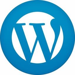 WordPress中文截取函数的用法介绍