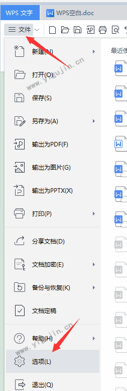 WPS文字中如何隐藏某些内容？WPS文档隐藏的文字如何显示出来？