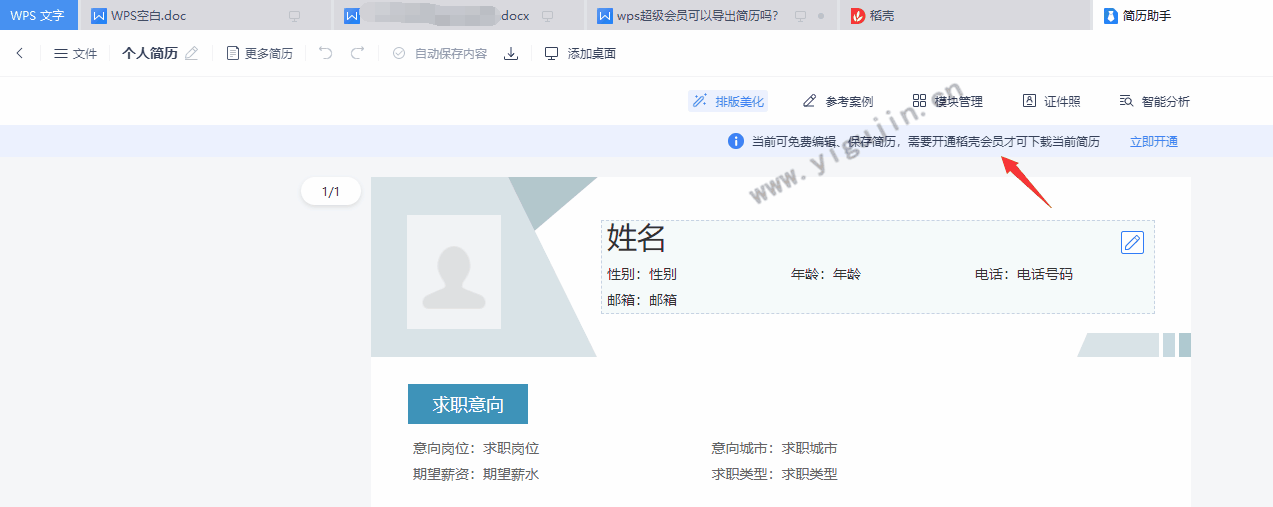 wps超级会员可以导出简历吗？