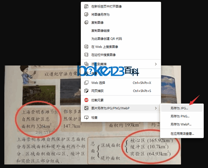 如何将网页上的webp格式直接转换为普通图片格式JPG、PNG？